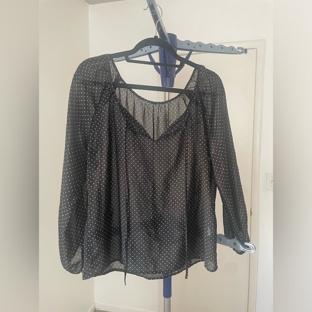 Velvet Black Sheer Polka Dot Blouse